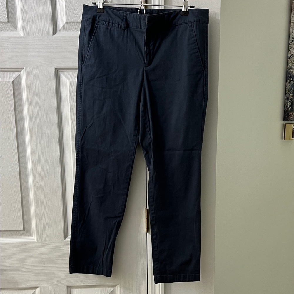 Ann Taylor Navy Chino Pants